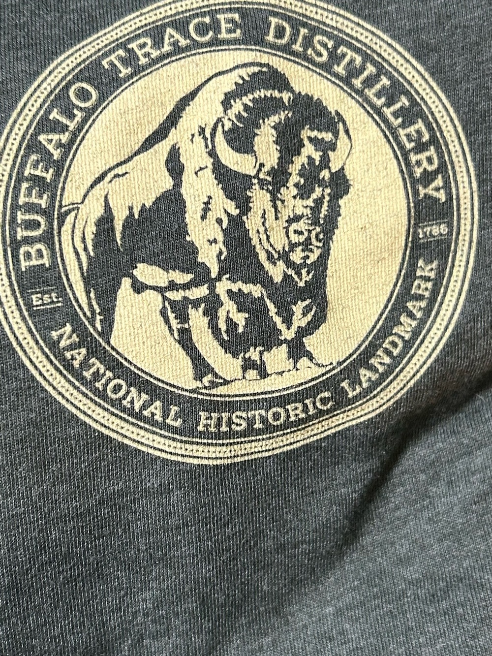 Bella Canvas Charcoal Crewneck Sweater with Cream Buffalo Logo
